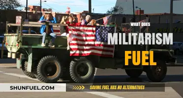 Militarism's Impact: Fueling Conflict, Power, and Global Instability