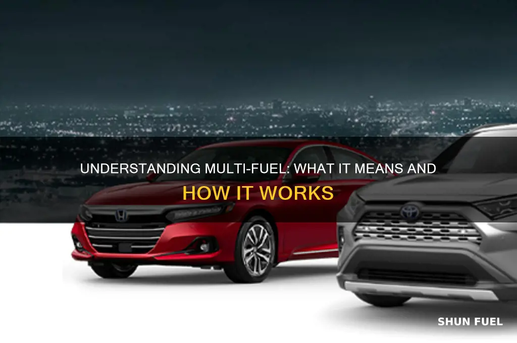 what does multi fuel mean
