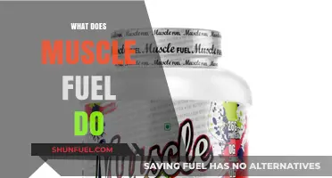 What Does Muscle Fuel Do? Unlocking Energy and Recovery Secrets