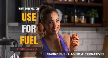 Muscle Fuel Sources: Unlocking Energy for Strength and Endurance