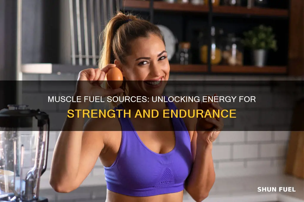 what does muscle use for fuel