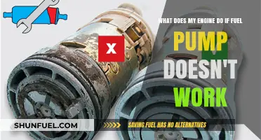 Fuel Pump Failure: How Your Engine Reacts and What to Do