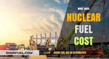 Understanding the Real Cost of Nuclear Fuel: A Comprehensive Analysis