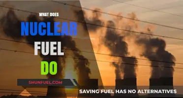 Understanding Nuclear Fuel: Power Generation, Process, and Environmental Impact