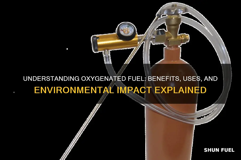 what does oxygenated fuel mean
