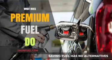 Premium Fuel Benefits: Performance, Efficiency, and Engine Longevity Explained