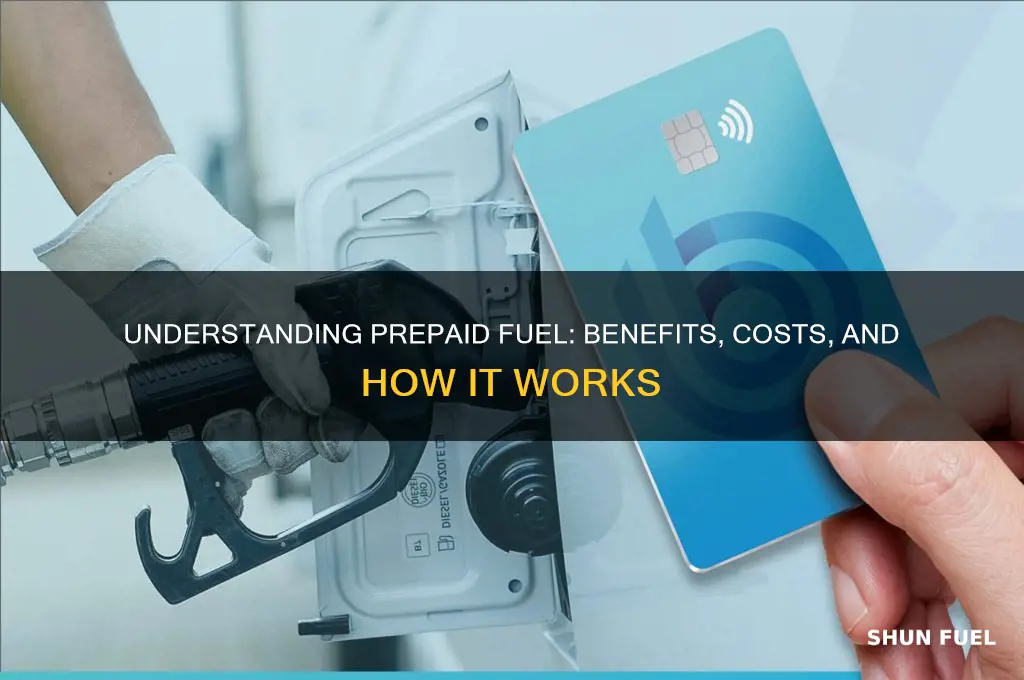 what does prepaid fuel mean
