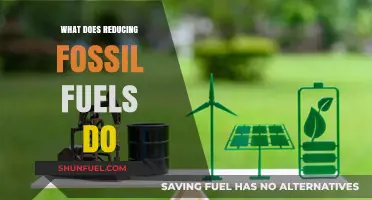 Reducing Fossil Fuels: Environmental Benefits, Economic Shifts, and a Sustainable Future