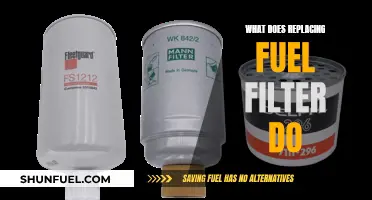 Fuel Filter Replacement: Enhancing Engine Performance and Efficiency