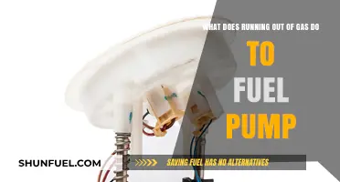Running on Empty: How Fuel Pump Suffers When Gas Runs Out