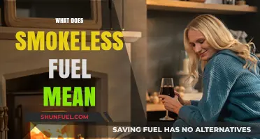 Understanding Smokeless Fuel: Benefits, Types, and Eco-Friendly Heating Solutions