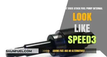 Inside the Stock Fuel Pump: A Detailed Look at the Speed3's Internal Components