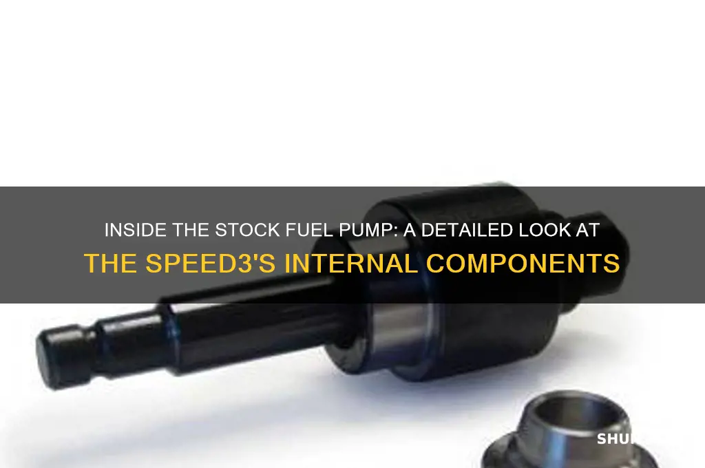 what does stock fuel pump internal look like speed3