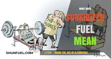 Understanding Subsidized Fuel: Benefits, Costs, and Global Impact Explained