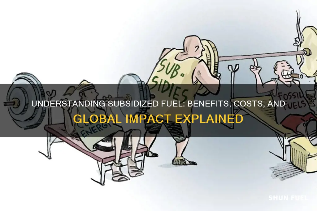 what does subsidized fuel mean