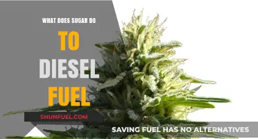 Sugar in Diesel: Engine Damage and Performance Impact