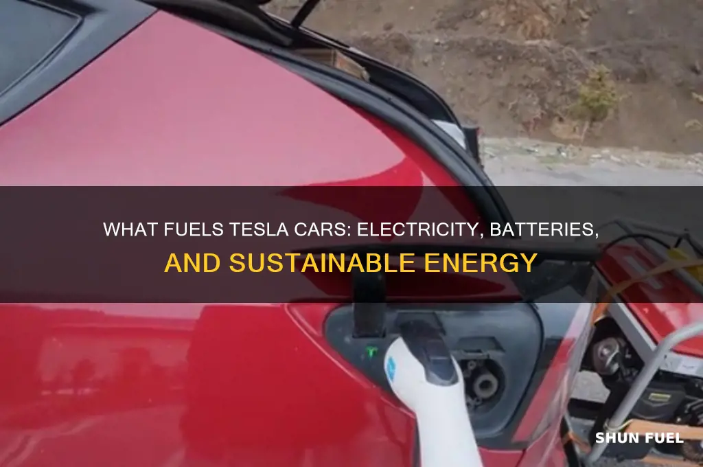 what does tesla use for fuel