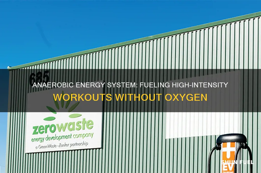 what does the anaerobic energy system used for fuel
