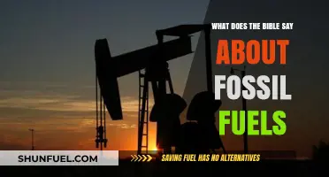Biblical Insights on Fossil Fuels: Stewardship, Creation, and Responsibility
