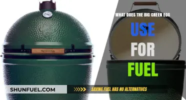 Big Green Egg Fuel Guide: Charcoal, Wood, or Lump Choices
