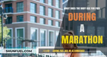 Marathon Fuel: How Your Body Powers Through 26.2 Miles