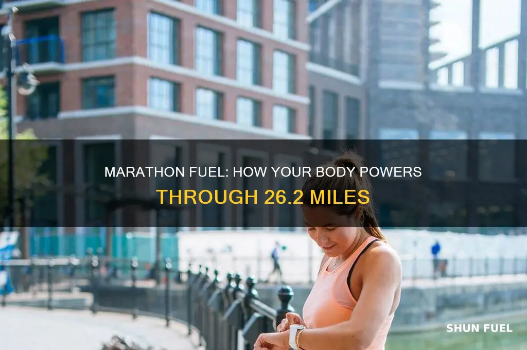 what does the body use for fuel during a marathon