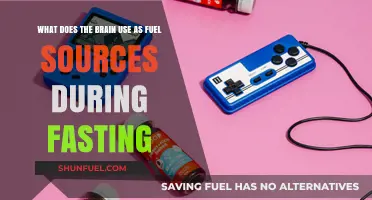 Brain Fuel During Fasting: Unlocking Ketones and Glucose Alternatives