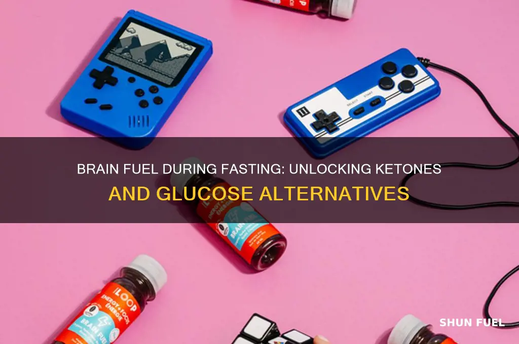 what does the brain use as fuel sources during fasting