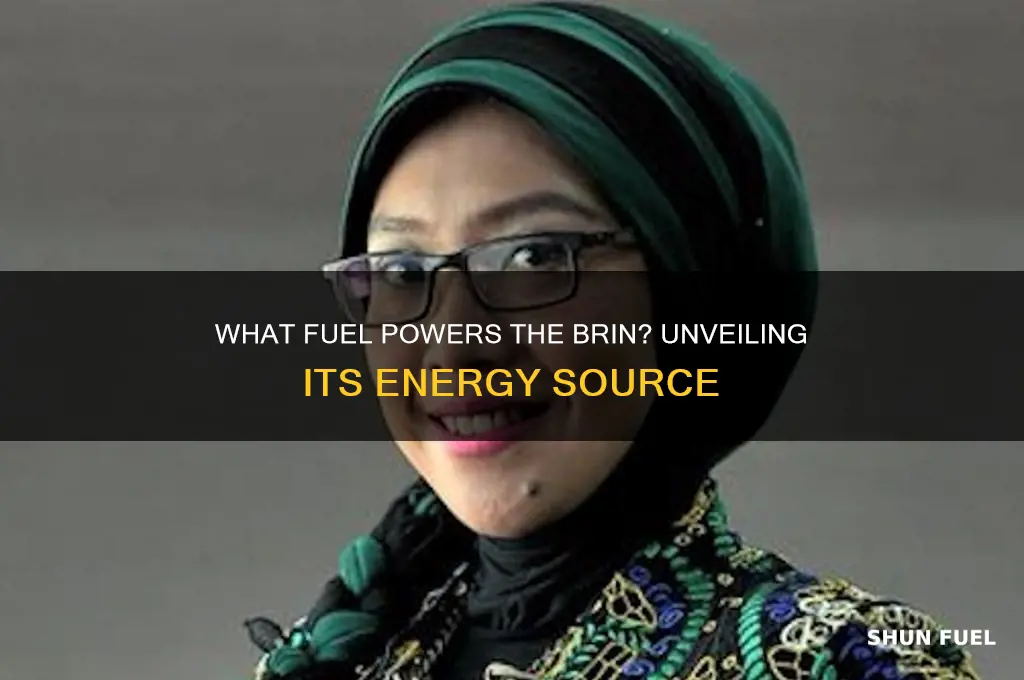 what does the brin use for fuel