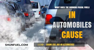 Burning Fossil Fuels in Cars: Environmental Impacts and Climate Consequences