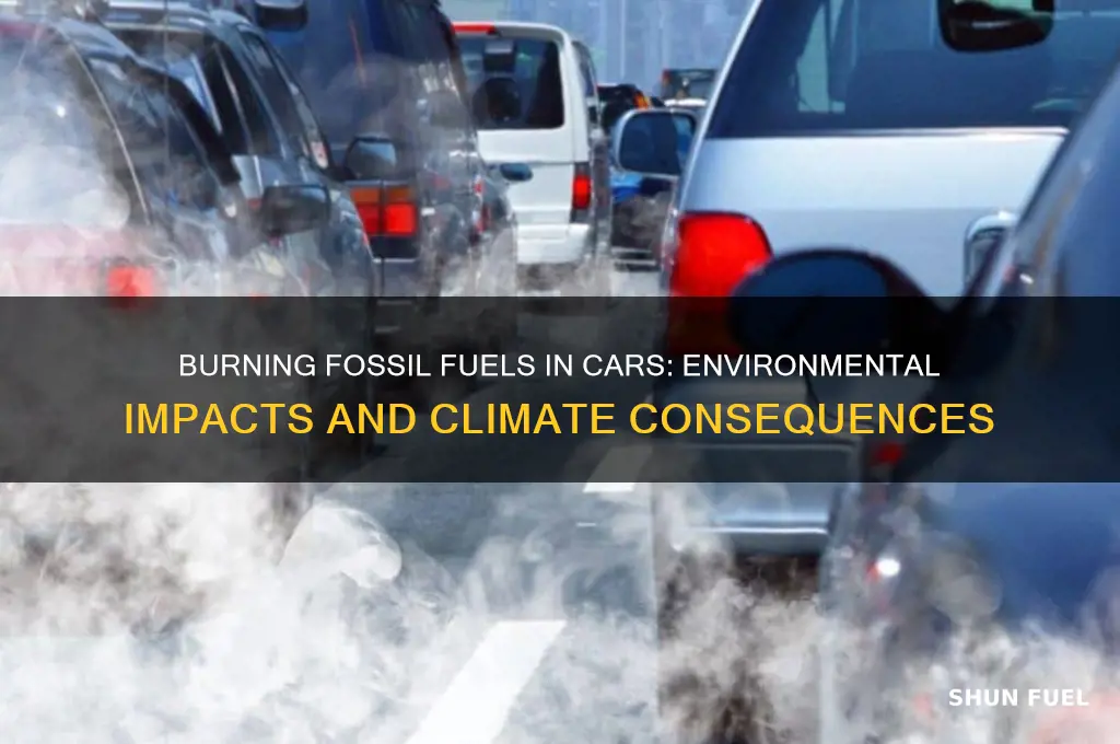 what does the burning fossil fuels in automobiles cause