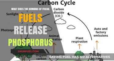 Fossil Fuel Combustion: Unveiling Phosphorus Emissions and Environmental Impacts