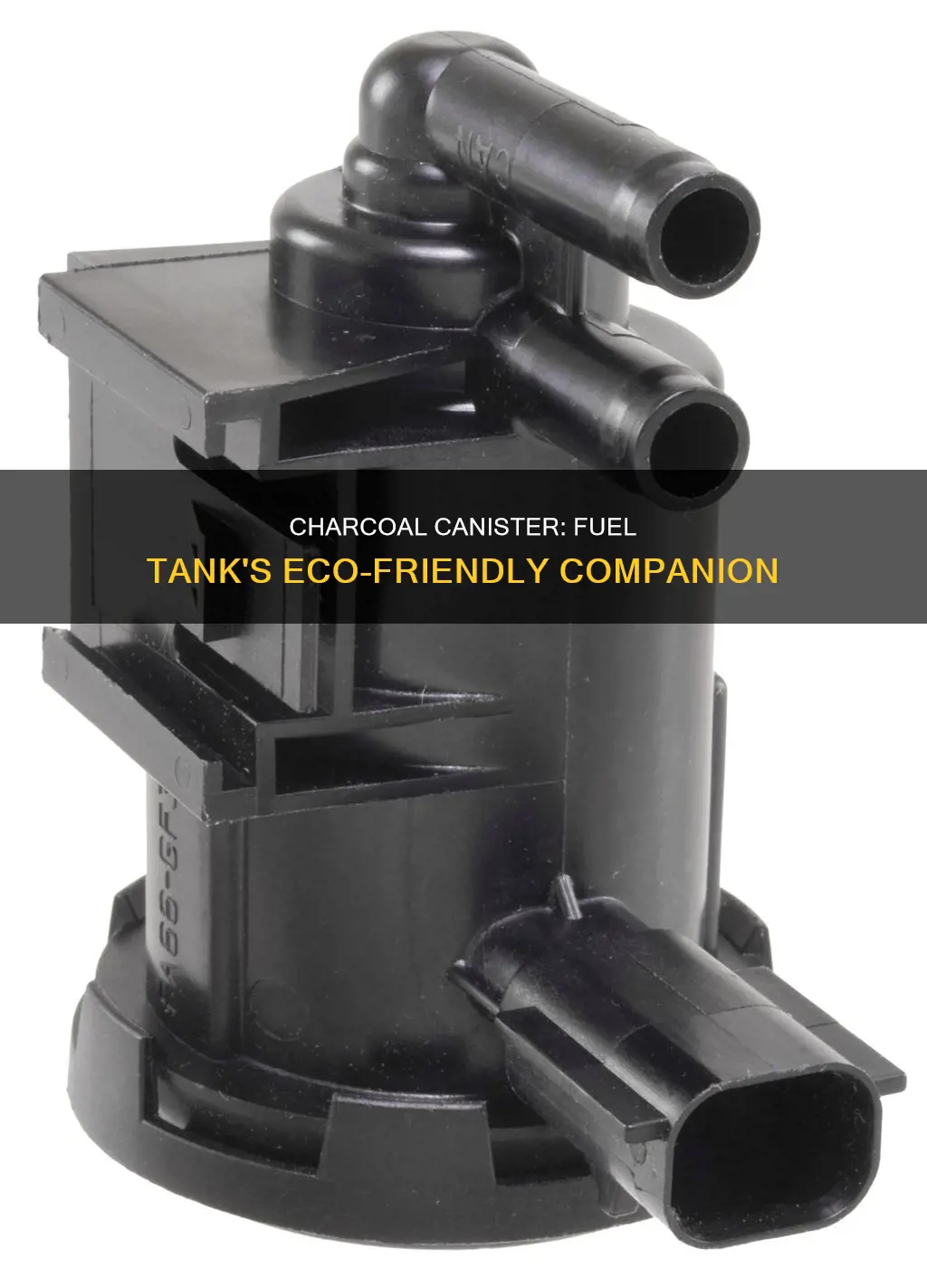 what does the charcoal canister do on your fuel tank