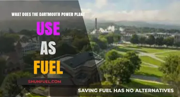 Dartmouth Power Plant Fuel Source: Unveiling Its Energy Generation Secrets