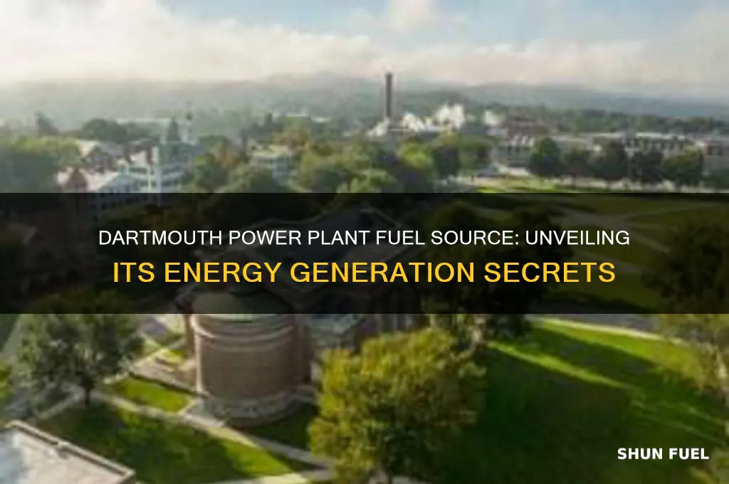 what does the dartmouth power plant use as fuel