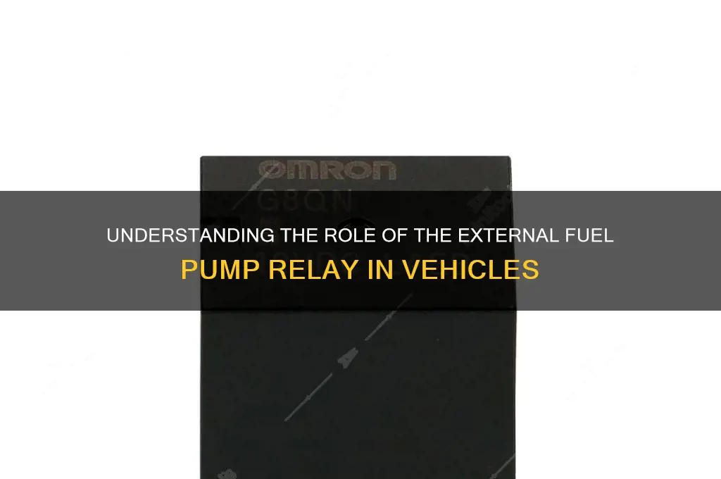 what does the external fuel pump relay do
