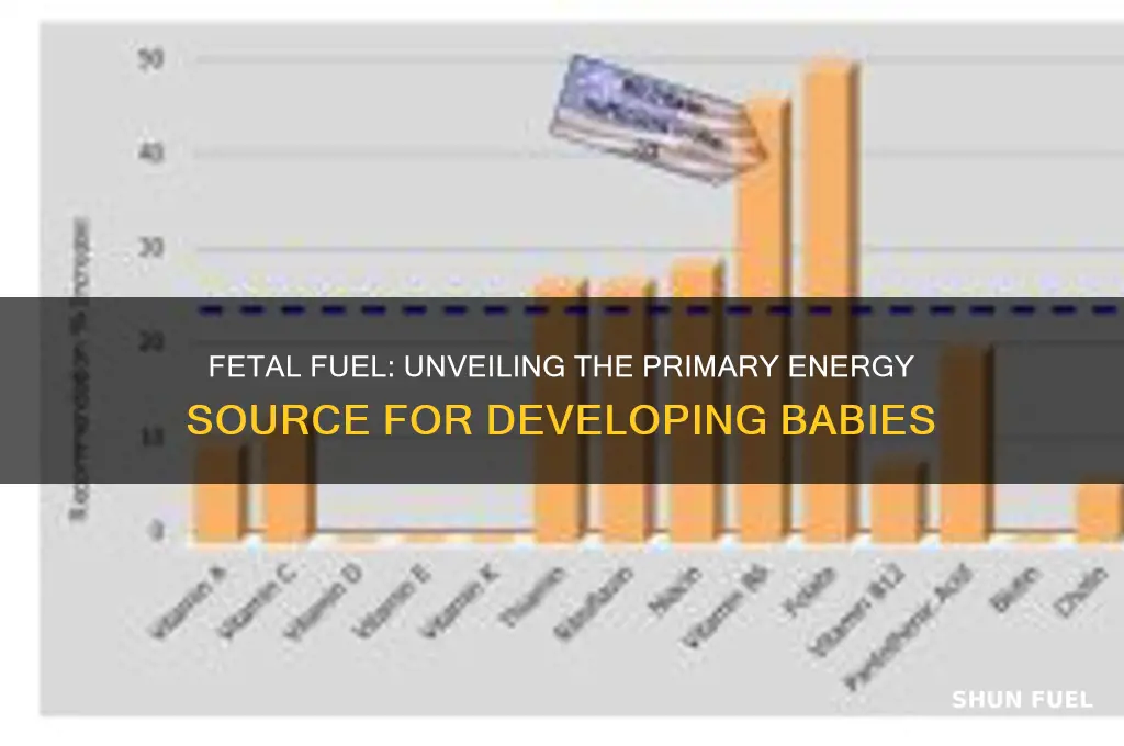 what does the fetus use for fuel