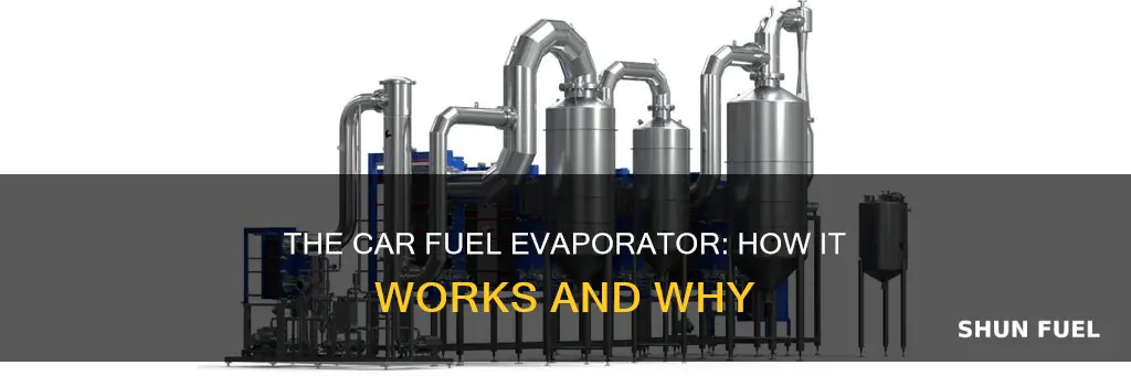 what does the fuel evaporator do in a car