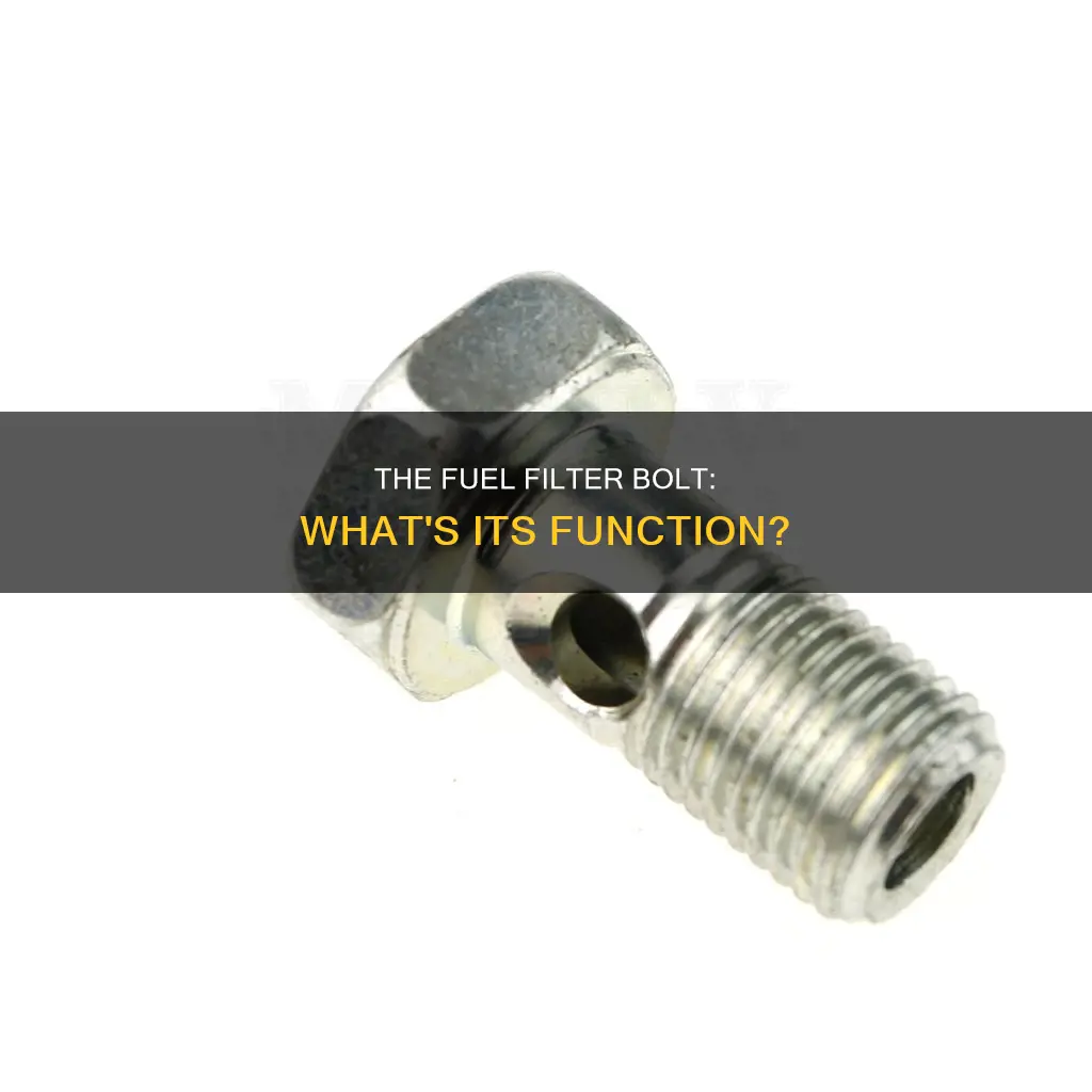what does the fuel filter bolt do