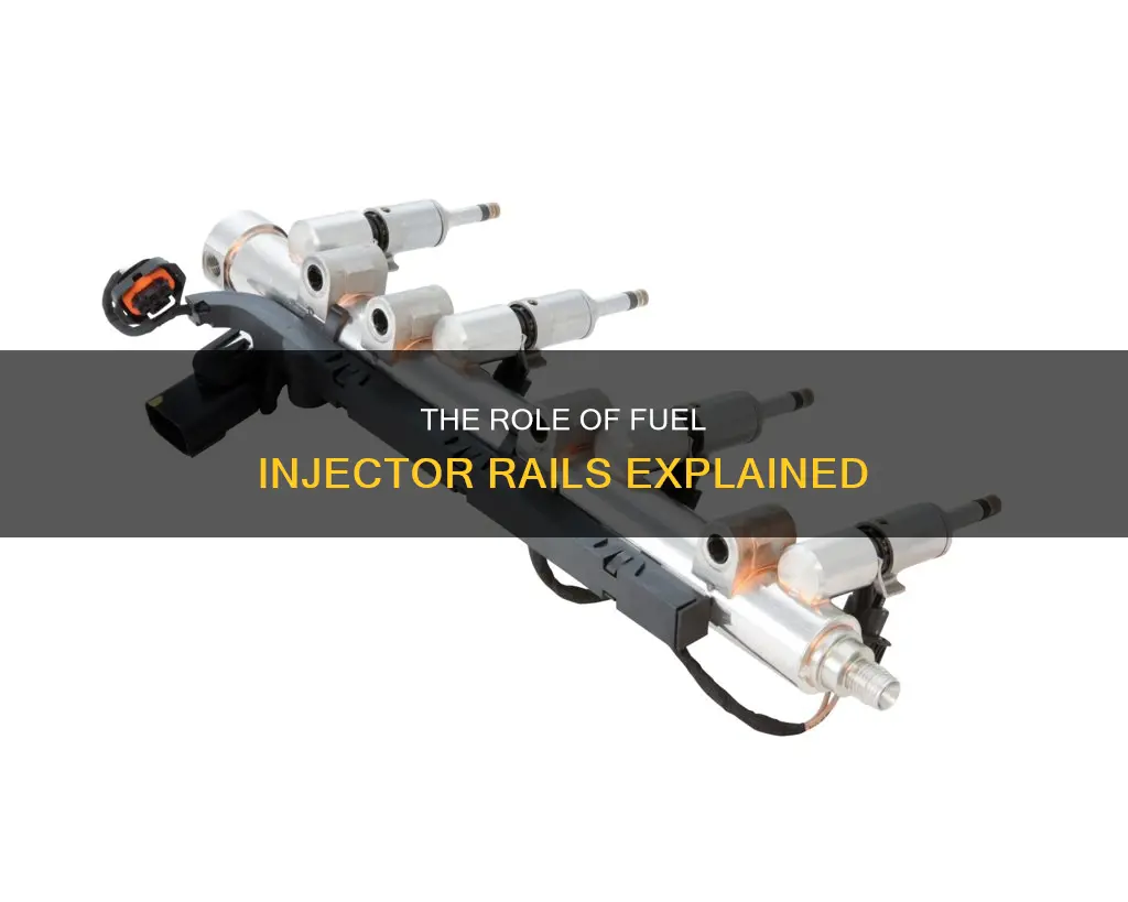 what does the fuel injectors rail do