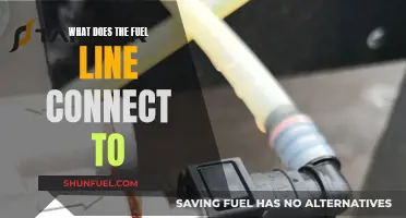 The Fuel Line: Where Does It Connect?