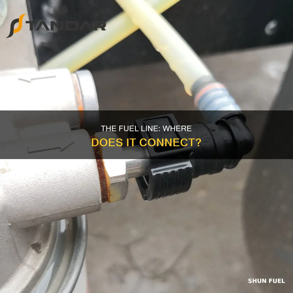 what does the fuel line connect to