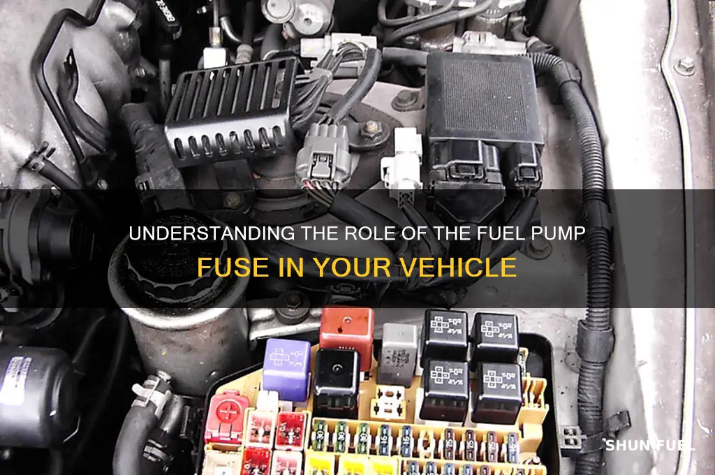 what does the fuel pump fuse do