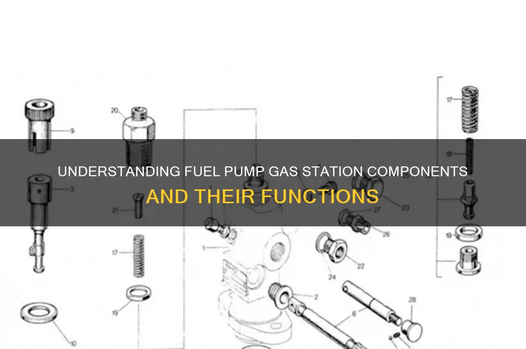what does the fuel pump gas station go into