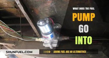 Understanding the Fuel Pump's Placement in Your Vehicle's Fuel System
