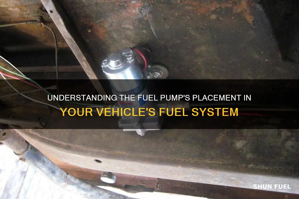 what does the fuel pump go into