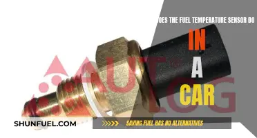 Fuel Temperature Sensor: A Car's Performance and Efficiency Monitor
