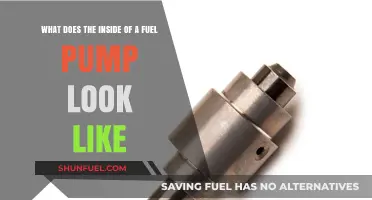 Exploring the Inner Workings: A Detailed Look Inside a Fuel Pump