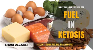 Ketosis Fuel Sources: What Does the Body Use for Energy?