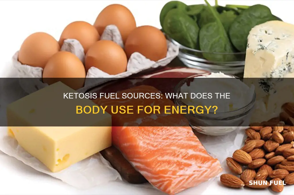 what does the live use for fuel in ketosis